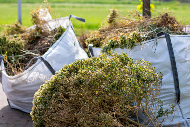 Attic Cleanout Services in Byron, IL